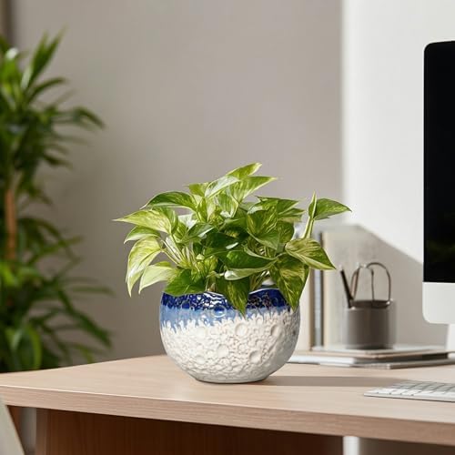 Ceramic Plant Pots, 6 Inch Orchid Pot with Drainage, Beige-Blue - Image 7