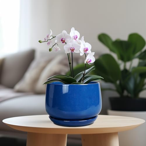 G EPGardening Round Ceramic Plant Pots, 7 Inch Modern Planter, Blue - Image 2
