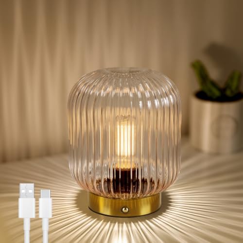 MJ PREMIER Rechargeable Table Lamp,Cordless Lamp with Memory Function,Clear by MJPREMIER