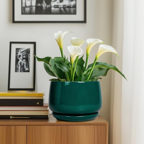 G EPGardening Ceramic Pots for Plants - 9 Inch Ceramic Planter for Indoor Plants, Round Planter with Drainage and Saucer, Modern Flower Pots for Outdoor, House Decor, Garden Gifts, Green - Image 6