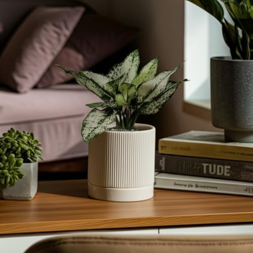 HERDUK 6 Inch Ceramic Plant Pot with Drainage & Saucer - Indoor Planter for Succulents, Cacti & Aloe Vera - Striped Design, High-Temp Fired Clay, Lightweight Modern Decor White - Image 6