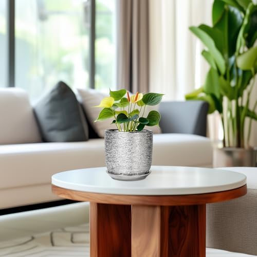 Ceramic Plant Pot 5 Inch - Indoor Planter with Drainage Hole and Saucer, Round Modern Flower Pot for Succulent Plants, Housewarming Gifts, Office Home Desk Decor, Silver - Image 4
