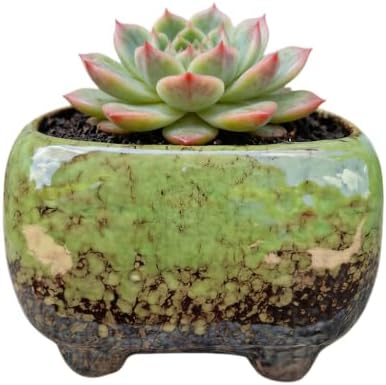 Cute 4.7 Inch Rectangle Ceramic Home Garden Decoration Succulent Cactus Flower Pots Container -Plant Not Included (Green) by SJBAG