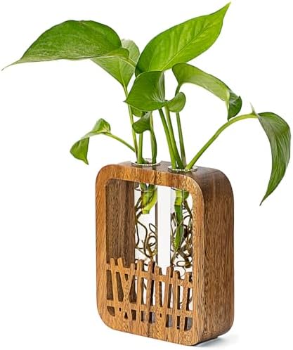 Walnut Wood Terrarium Planter - 2 Glass Test Tube Vase & Boho Plant Stand for Hydroponics, Home Office Desk Decor, Unique Housewarming Birthday Gifts for Women Plant Lovers by MIGAKUHOME