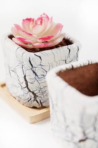 Ceramic Planter Pots w/Drainage, 3 Inch Set of 2, Indoor Outdoor Home Patio Garden Plants Flower Succulent, Crackle-Texture Square - Image 5