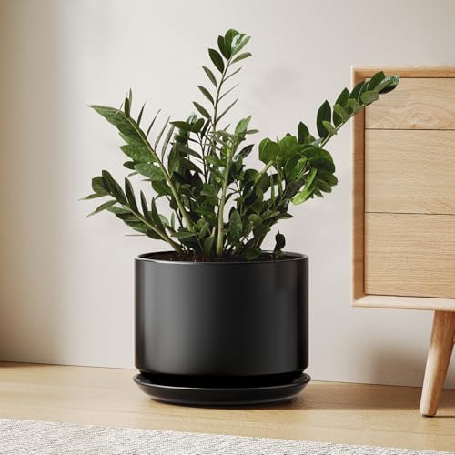 LE TAUCI Ceramic Pots for Plants, 10 Inch Plant Pot with Drainage Hole & Saucer, Sturdy & Modern Planters for Indoor Plants, Includes Mesh Screen, Fits Snake Plant & Monstera, Black by LETAUCI