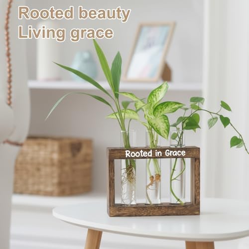 Rooted in Grace Propagation Station – Wooden Plant Holder with 3 Glass Vases, Indoor Rooting Station for Cuttings, Christian-Inspired Gift for Women, Birthday, Housewarming, Plant Lover Décor - Image 3
