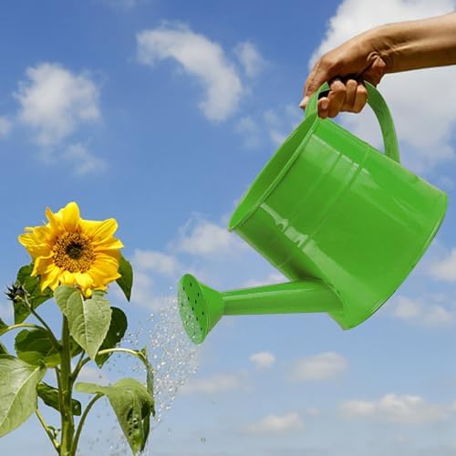 0.26 Gallon Small Watering Can, Small Modern Rustproof Indoor Watering Cans for House Plants with Sprinkler Head and Handle,Durable Decorative Lightweight Water Can for Plants for Outdoor Flower - Image 3