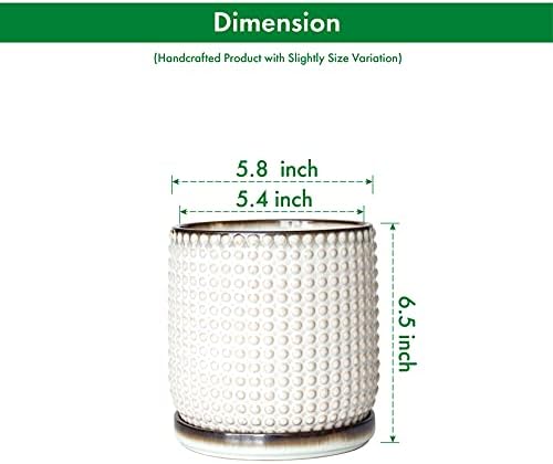 D'vine Dev Beaded Ceramic Pot with Saucer, 6 in, Smoked White, 27-C-X-1 - Image 3