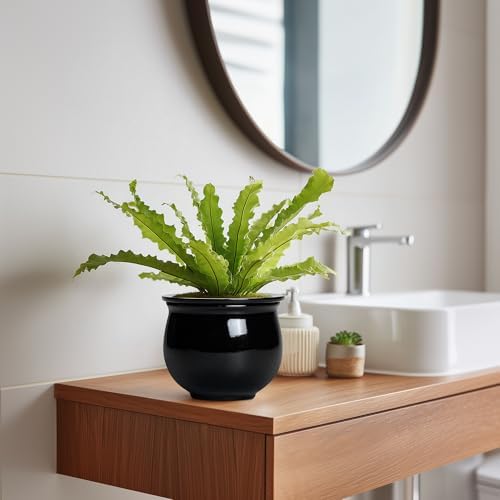 Ceramic African Violet Self Watering Pots, 6 Inch Self Watering Plant Pot with Absorbent Inner Pot, Flower Pots for Indoor Plants, Round Ceramic Planter, Home Decor, Plant Lover Gifts, Black - Image 5
