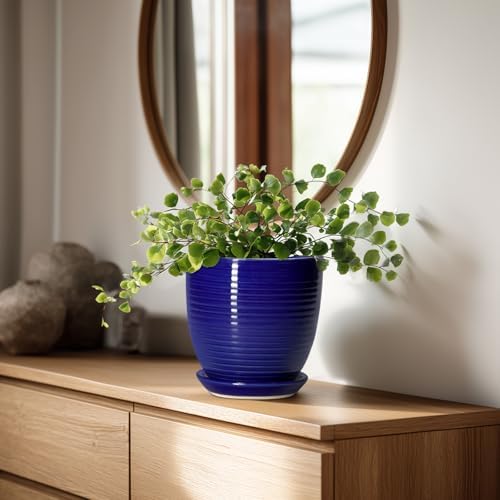 Ceramic Plant Pot - 6 Inch Pots for Plants, Round Ceramic Planters with Drainage Hole and Saucer, Decorative Flower Pots for Indoor Plants, Room Desk Decor, Housewarming Gifts, Glossy Blue - Image 3