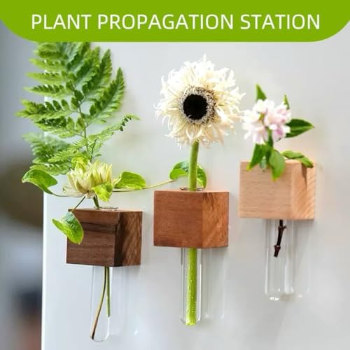 3PCS Mini Plant Propagation Station Set - for Window, Fridge, Wall, Office, Kitchen Decor, Home Plant Display,Inculd Glass Test Tube Vases Magnet and Adhesive Backed Wooden Holders - Image 3