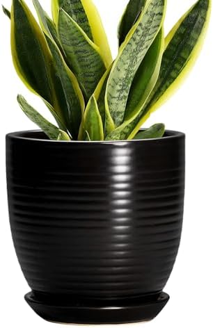6 Inch Plant Pot - Ceramic Planters for Indoor Outdoor Plants, Modern Flower Pots with Drainage Hole and Saucer, Round Ceramic Planter, Office Room Decor, Gifts for Plant Lovers, Matte Black by EPFamily