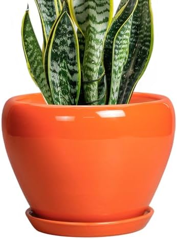 Ceramicfor Indoor Plant Pot, 8 Inch Ceramic Plant Pot, Orange by Ceramicfor