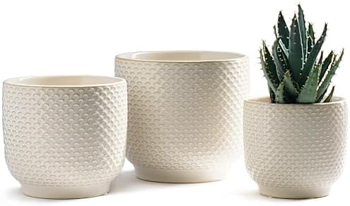 4 + 5 + 6 Inch Ceramic Pots for Indoor Plants, Succulents Plant Pots, Orchid Flower Pot with Drainage Hole, Modern Clay Stoneware Planters, Set of 3 (Milk White, 4+5+6 Inch) by Homephyte