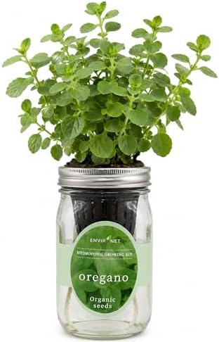 Hydroponic Herb Growing Kit, Self-Watering Mason Jar Herb Garden Starter Kit Indoor, Grow Your Own Herbs from Organic Seeds (Oregano) by Environet
