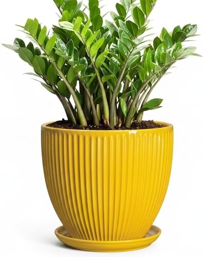 Ceramic Planters for Indoor Plants, 10 Inch Plant Pot Indoor with Drainage Hole and Saucer, Modern Large Flower Pots for Indoor Plants, Round Planter, Home Garden Decor, Gardening Gifts, Yellow by Unknown