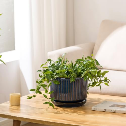SURE YUESI Ceramic Plant Pots Set of 3, Indoor Outdoor Planters with Drainage Hole and Saucer, Ceramic Flower Pots for Indoor Plants, 4.3+5.5+6.8 Inch, Home, Garden, Patio and Office, Glossy Blue - Image 5