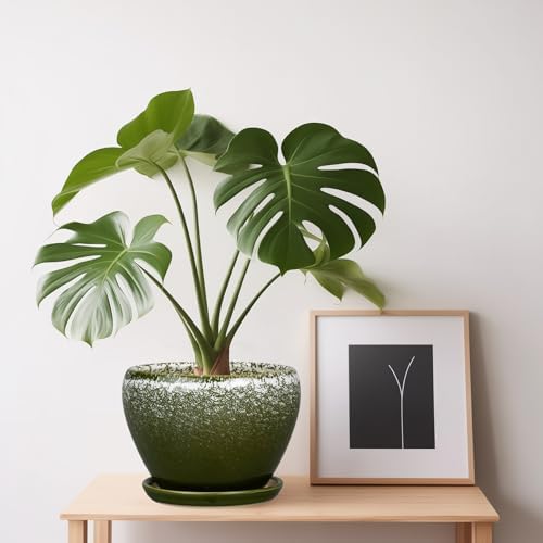Ceramicfor 6 Inch Plant Pot - Ceramic Planter Pot with Drainage Hole and Saucer, Glaze Succulent Pot Modern Round Flower Pot for Indoor Plants, Dark Green - Image 5
