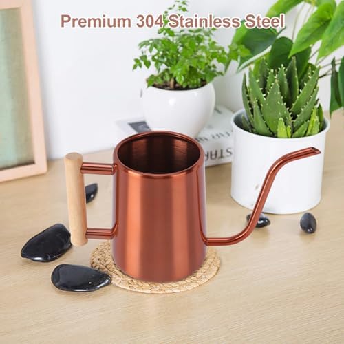 Watering Can Indoor Plants, 35 oz/1000 ml Metal Stainless Steel Watering Can Pot with Long Spout for Indoor House Plants Bonsai Outdoor Garden Flower Decorative (Copper) - Image 6