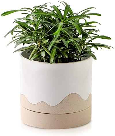 Nihow Ceramic Plant Pot,6 Inch Planter with Drainage Hole&Saucer for Indoor by Nihow