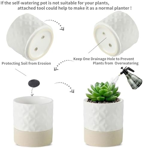 Nihow Self Watering Plant Pot for Indoor Plants: 4.5+6 Inch Ceramic Planter with Drainage Hole & Water Storage Plus - Cylinder Flower Pot with Wick for Herbs - Matte White & Brown Star - Image 3