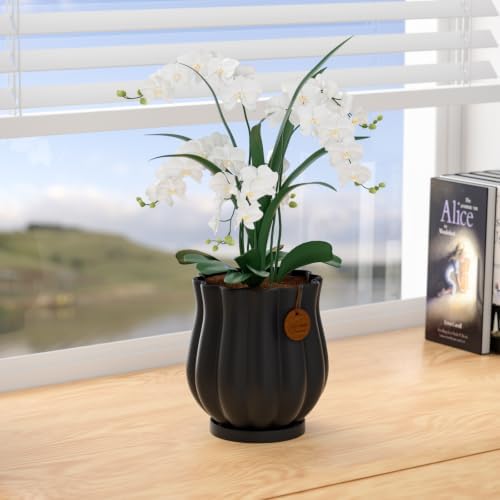 4.7" Matte Black Ceramic Plant Pot with Saucer - Image 6