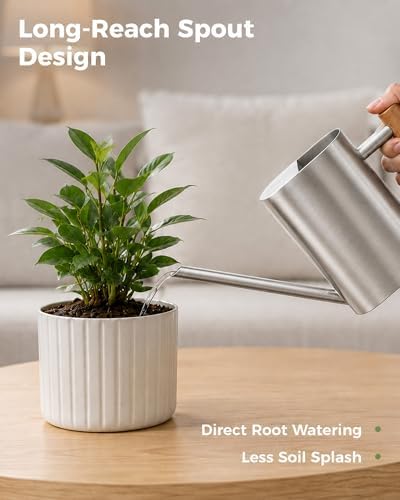 Bamworld Watering Can Indoor Plants 17oz 500ml Metal Silver - Image 3