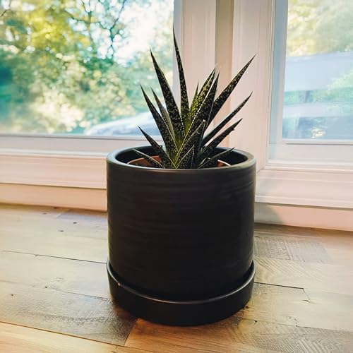 HERDUK 6 Inch Plant Pots, Ceramic Planter Pot with Drainage Hole & Saucer, Indoor/Outdoor Cylinder Round Planter Pot, Matte Black - Image 2