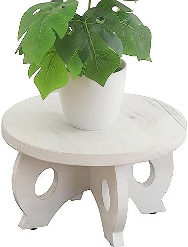 Small Wooden Plant Stand Indoor, 10-Inch Round Pine Wood Plant Riser and Display Pedestal for Tabletop, Countertop and Home Decor, Whitewashed by VZODESR