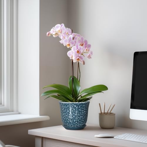 Ceramic Pots for Plants - 5.6 Inch Plant Pot for Indoor Outdoor, Round Succulent Orchid Pot with Drainage Hole and Saucer, Modern Small Flower Pot, Room Home Decor, Plant Lover Gifts, Blue - Image 3