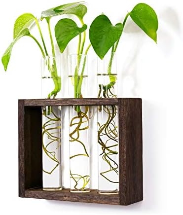Wooden Propagation Station with 3 Glass Test Tubes, Tabletop Glass Terrarium Holder for Cuttings Hydroponics, Home Office Desk Decor Gift for Women Mom Plant Lovers, Brown by PACDONA