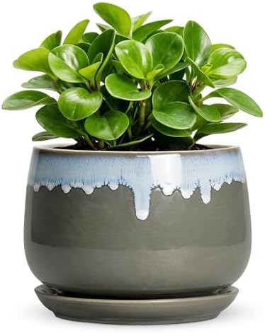 Ceramic Pots for Plants 6 Inch, Indoor Plant Pots, Grey-Blue by Fivepot