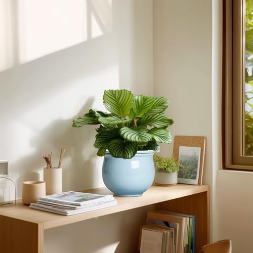 Ceramic African Violet Pots for Indoor Plants, 6 Inch Self Watering Planters with Absorbent Inner Pot, Self Watering Plant Pot, Ceramic Flower Pots, Desk Decor, Housewarming Gifts, Light Blue - Image 7