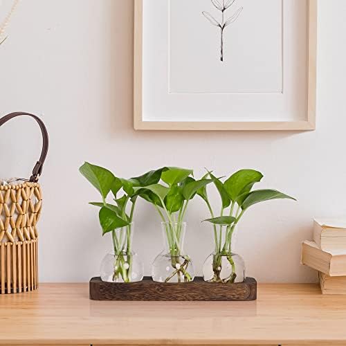 YIBOT Plant Propagation Station, Desktop Glass 3 Bulb Vase Brown Wood Tray - Image 7