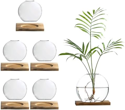 Glass Planter Propagation Station with Wooden Base - Clear Oblate Hydroponic Vase, Decorative Desktop Flower Vase for Home, Office, Windowsill - Gift for Plant Lovers (6) by wangsdjy