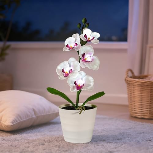 Artificial White Phalaenopsis Orchid Flower Lamp, Flower Night Light for Bedroom Wedding Bar Coffee Shop Decor, Gifts for Women Mom Grandma Friend Birthday Christmas Valentines Mothers Day - Image 6