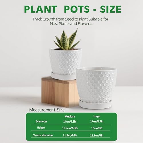 Docrin Ceramic Plant Pots Set of 2 (6.6"+5.5"), High-Fired Clay Indoor Planters with Drainage Holes & Saucer, Honeycomb Modern Home Decor for All House Plants - Image 4