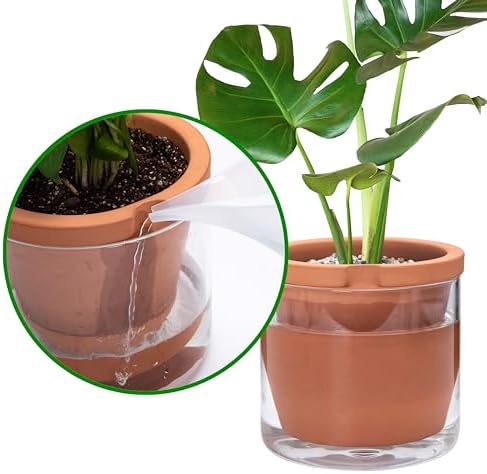 D'vine Dev Self Watering Terracotta Planter Pot, 8 in, 37-X-C-1 - Image 5