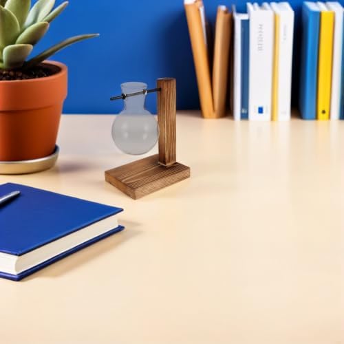 Wood Hydroponic Glass Vase with Stand for Plant Propagation - Image 7