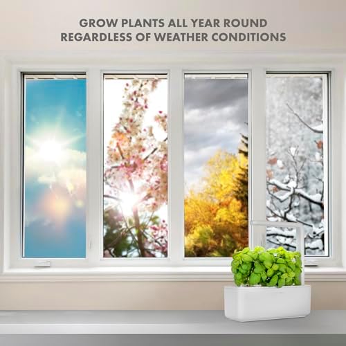 Click & Grow Indoor Herb Garden Kit with Grow Light | Smart Garden for Home Kitchen Windowsill | Easier Than Hydroponics Growing System | Vegetable Gardening Starter (3 Basil Pods Included), White - Image 6