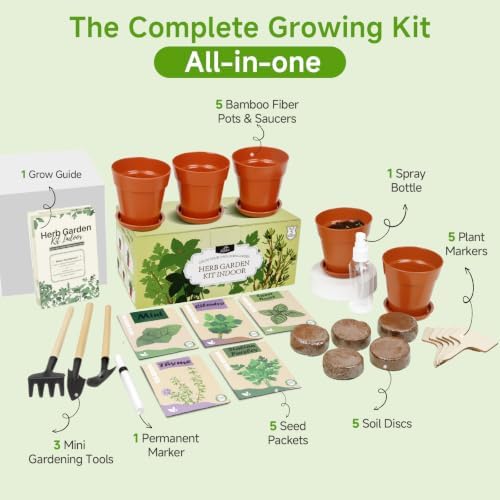 Herb Garden Kit, Indoor Herb Garden Starter Kit with Pots & Herb Seeds, Beautiful Gift Box, Gardening Gift for Women & Mom, Birthday, Christmas & Housewarming - Image 4