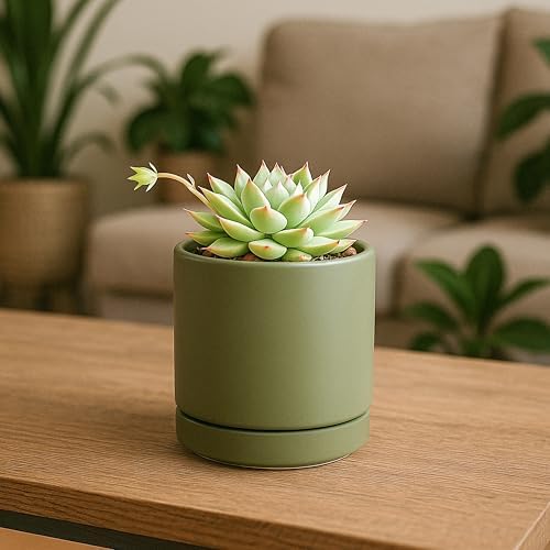 D'vine Dev 3.5 Inch Ceramic Planter Pot, Olive, 94-O-A-J - Image 3