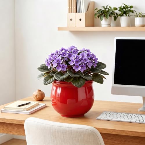 8 Inch Ceramic Self Watering Pots with Absorbent Inner Pot, Red - Image 7
