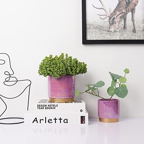 Gepege Ceramic Plant Pots for Indoor Plants, Planters with Drainage Holes - Image 6