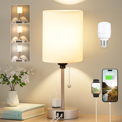 Small Bedside Table Lamp for Bedroom, Desk Lamp with USB Ports for Dorm by DicooolDirect