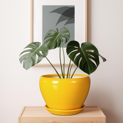 Ceramicfor Ceramic Planter - 10 Inch Plant Pot for Indoor Outdoor Plants Glaze Modern Round Planter with Drainage Hole and Saucer for Garden Office Home Room Patio Decor, Yellow - Image 7