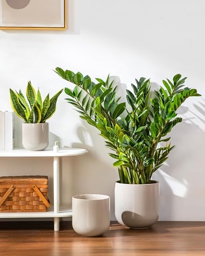 vancasso 6+8+10 inches Ceramic Plant Pots, Set of 3, Planters with Drainage Hole, Flower Pots Planters Pots for Indoor Plants, Modern Indoor Decorative Garden Pot, Home Decor, Gray - Image 6