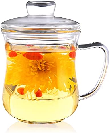 CNGLASS Glass Tea Cup with Removable Infuser and Lid,10oz Thickened Glass Infuser Mug,Borosilicate Glass Mug for Loose Leaf Tea,Teabags by CNGLASS