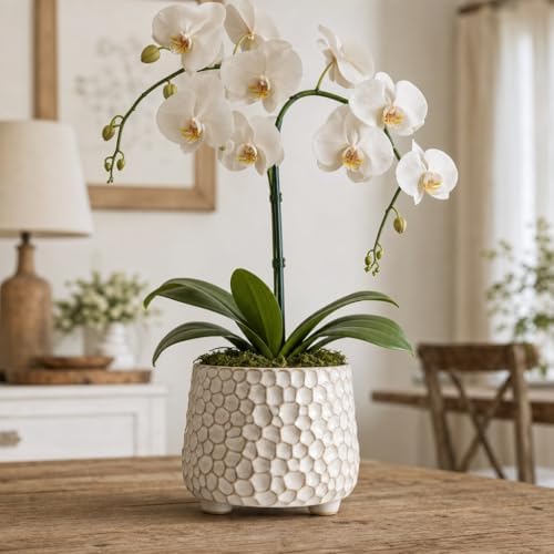 Rustic 4inch ceramic planter pot for succulent cactus and Indoor Plant - Image 6